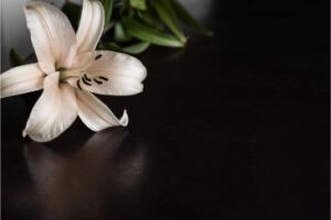 Steps to Take After a Wrongful Death in South Carolina